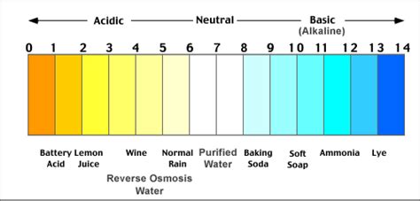 Ph Scale Chart Water | Porn Sex Picture