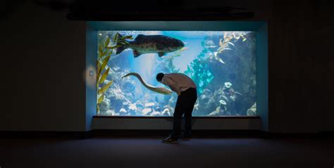 Behind-the-Scenes Aquarium Tour - California Academy of Sciences