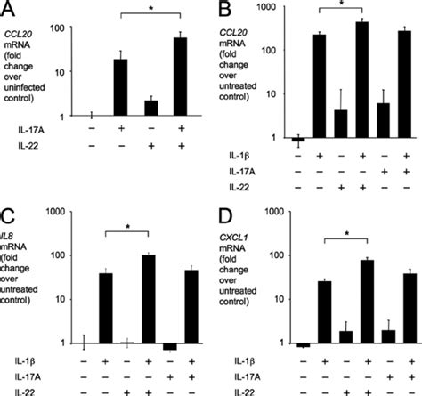 Cytokine expression by model epithelia after stimulation with IL-17A ...