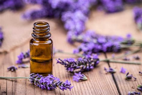 I Started Using Lavender For Stress Relief | Reader's Digest