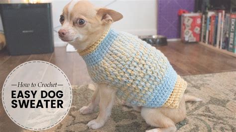 Easy Crochet Dog Sweater Part 1 of 2 | Last Minute Laura | Crochet dog ...