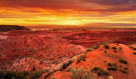 The Painted Desert: 5 Things to Do in this Arizona Treasure