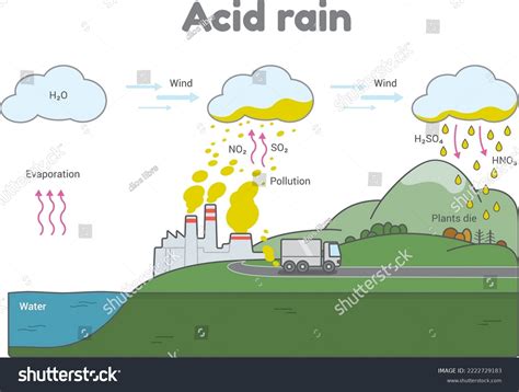 Illustration Shows Formation Acid Rain One Stock Vector (Royalty Free ...