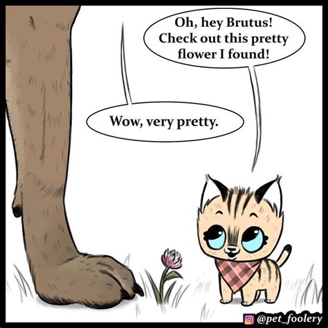 3 New Pixie And Brutus Comics That Will Make Your Day | Cute animal ...