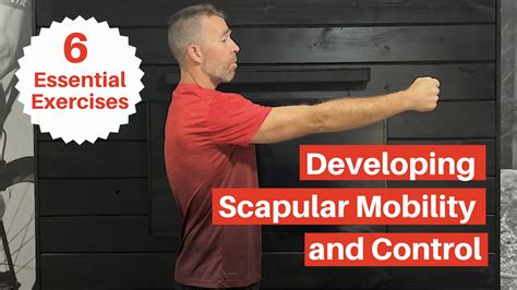 Exercises Progressions For Scapular Control - My Rehab Connection