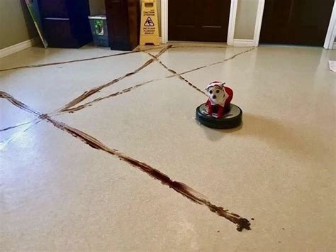 Cursed_Roomba : cursedimages | Snapchat funny, Funny photo captions ...