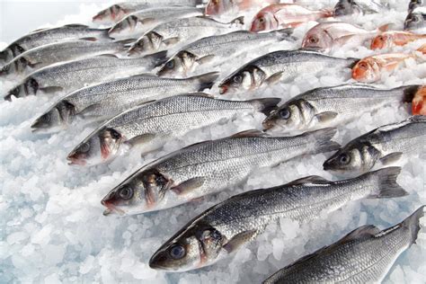 Eat fish for a longer life, study suggests