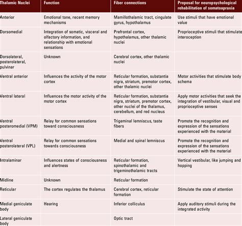 Functions and fiber connections of the thalamic nuclei and proposal for ...