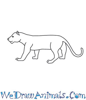 How to Draw a Panther