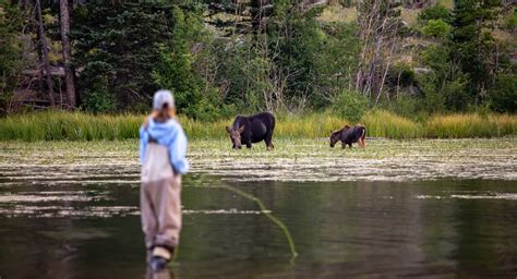 Where Is The Best Trout Fishing In Wyoming? Fly Fishing You Won’t ...