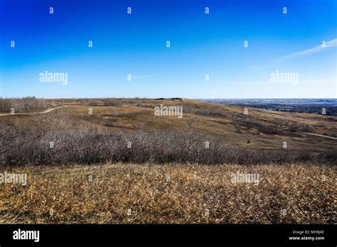 Nose Hill Park Calgary Alberta Canada Stock Photo - Alamy