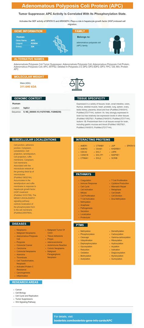 APC Antibodies & ELISA Kits, APC Proteins