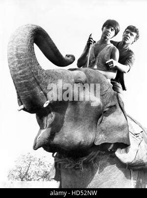 MAYA, Jay North, Sajid Khan, 1966 Stock Photo - Alamy