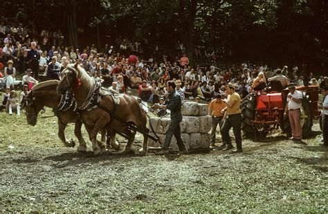 Horse pulling contest 1960s Photograph by Winston Fraser - Fine Art America