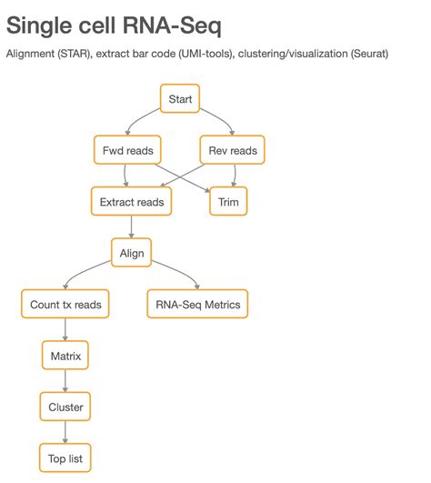 Introducing our significantly upgraded single cell RNA-seq pipeline ...