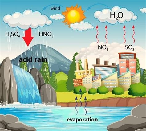 Acid Rain Formation