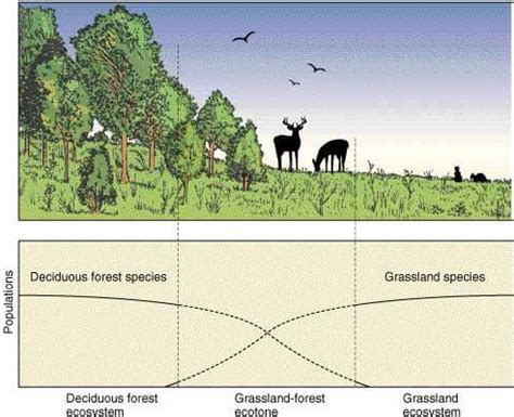 Ecotone: Edge Effect, Edge Species and Ecological Niche - PMF IAS