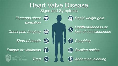 Heart Valve Disease - St Vincent's Heart Health