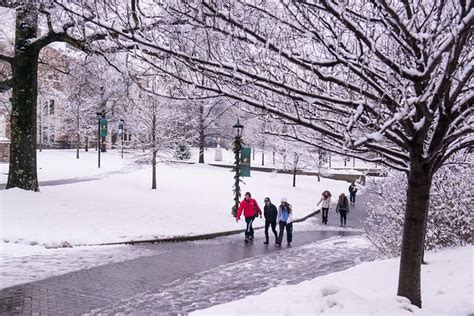 Flickr: Loyola University Maryland's Photostream