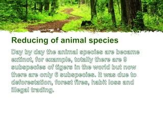 Forest conservation methods