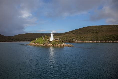 Where to See Penguins in Tasmania