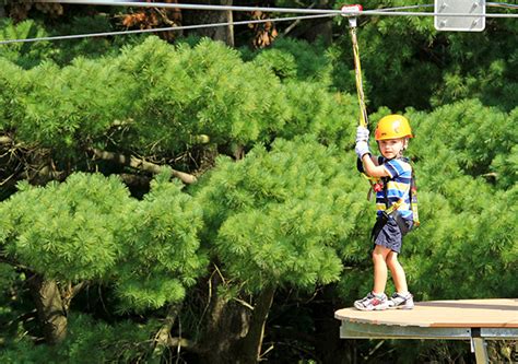 Zipline Ohio | Hocking Hills Canopy Tours