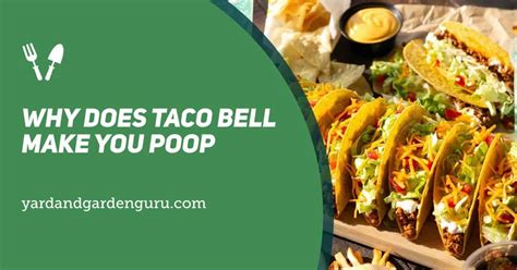 Why Does Taco Bell Make You Poop