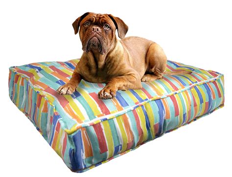 Cozy Up Your Pooch: Top 10 Dog Beds With Covers You Need to Know About ...