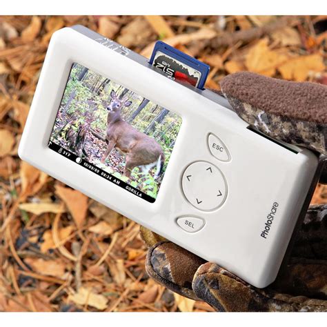 PhotoShare Portable Digital Photo Album with 2.4" LCD Screen ...