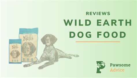 Wild Earth Dog Food ReviewsーPaws Up Or Paws Down?