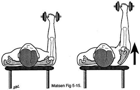 Home Exercises for the Unstable Shoulder | UW Orthopaedics and Sports ...