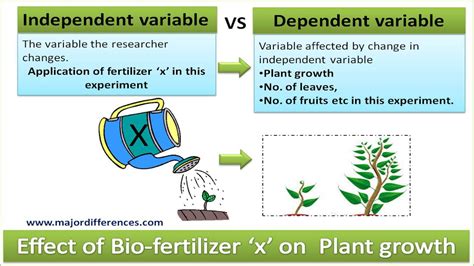 5 Differences between Independent variable and Dependent variable in ...