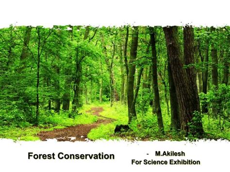 Forest conservation methods | PPT