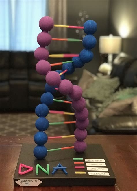 Diy Dna Model Project