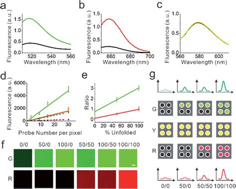 In vitro characterization of the DNAMeter. (a-c) The fluorescence ...