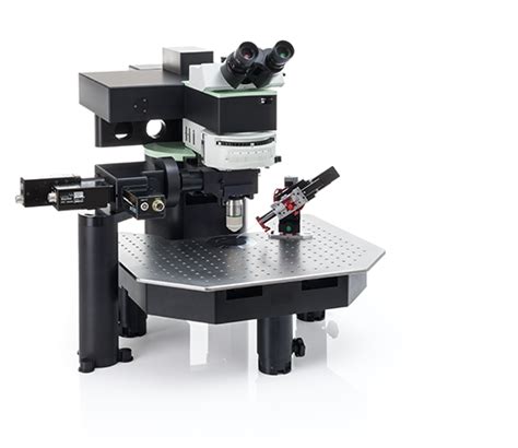 Two-Photon Microscope – IVIF – In Vivo Imaging Facility