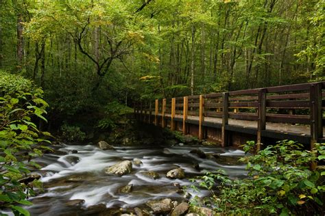 The 15 Best Trails for Gatlinburg Hiking in the Smokies (2023)