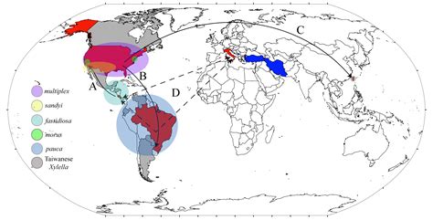 Almeida Lab – The Ecology of Insect-Borne Plant Diseases | UC Berkeley