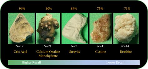 Article of the week: Deep learning computer vision algorithm for ...