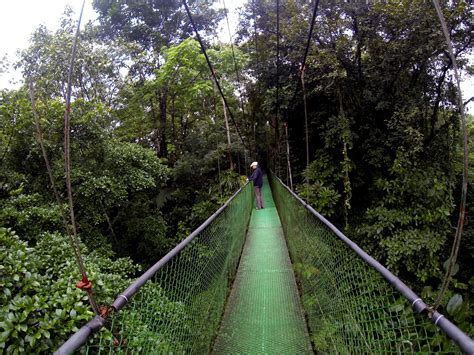 Suspension bridge banks of the Rio Sarapiqui