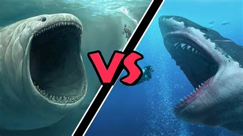 Mégalodon VS. Leviathan - Qui Va Gagner ? - YouTube