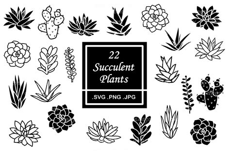 Succulent SVG Bundle - Cactus Clipart (1050025) | Cut Files | Design ...