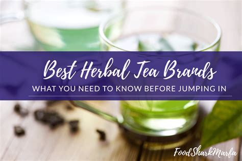 The 10 Best Herbal Tea Brands in 2023 - Food Shark Marfa