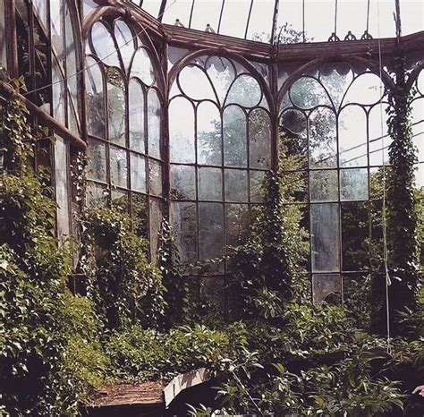 Abandoned Greenhouse Beauty — Steemit | Abandoned castles, Castle ...