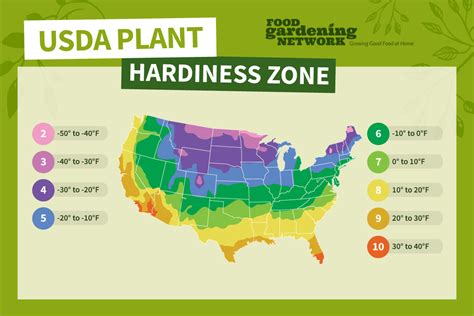 Growing Zones for Oranges - Food Gardening Network