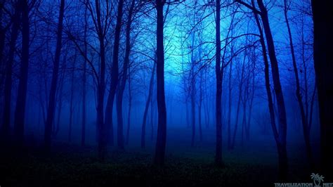 Blue Forest Aesthetic Wallpapers - Wallpaper Cave