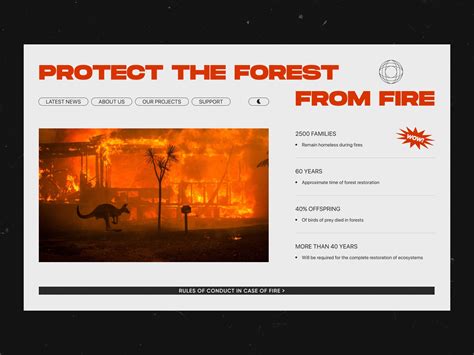 Forest protection website by Misha Savin on Dribbble