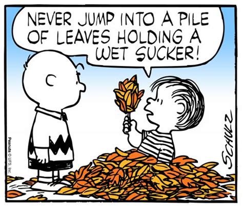 Charlie Brown Never Jump Into Leaves with a Sucker | Smiles | Charlie ...