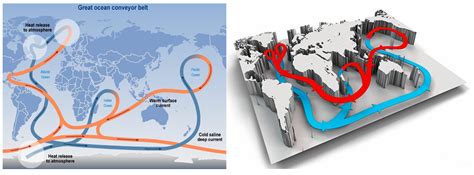 Great ocean conveyor belt [32,33]. | Download Scientific Diagram