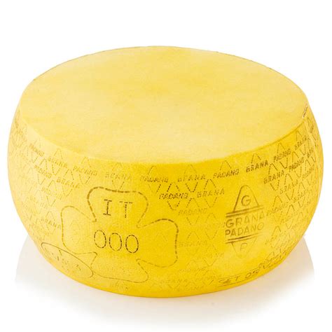 Fake Jumbo Grana Padano Cheese Wheel